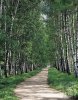 Ясполяна Ясполяна